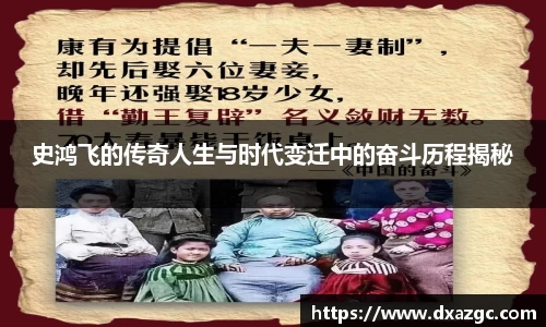 芒果史鸿飞的传奇人生与时代变迁中的奋斗历程揭秘